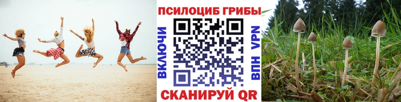 Псилоцибиновые грибы прущие грибы  Юрга 